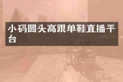 小码圆头高跟单鞋直播平台