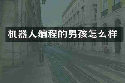 机器人编程的男孩怎么样