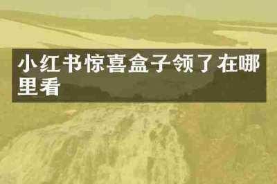 小红书惊喜盒子领了在哪里看