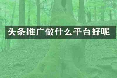 头条推广做什么平台好呢
