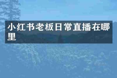 小红书老板日常直播在哪里