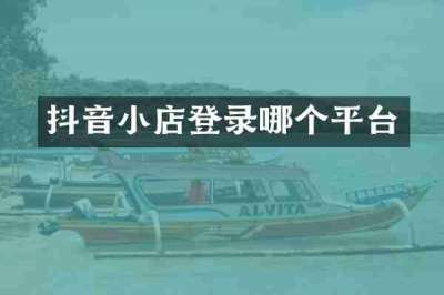 抖音小店登录哪个平台