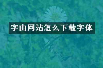 字由网站怎么下载字体