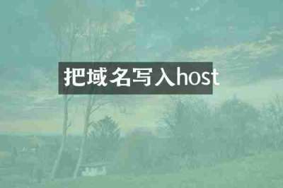 把域名写入host