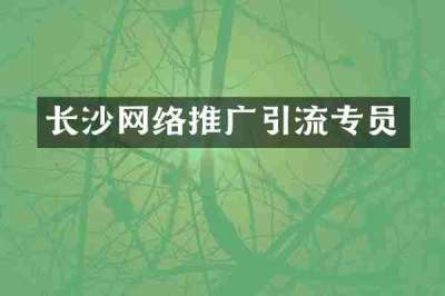长沙网络推广引流专员