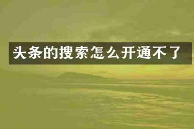 头条的搜索怎么开通不了