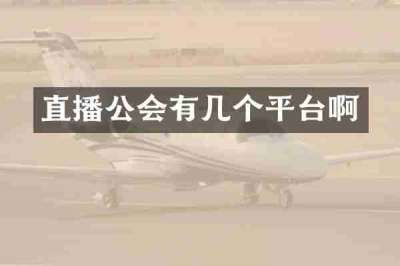 直播公会有几个平台啊