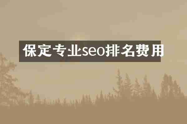保定专业seo排名费用