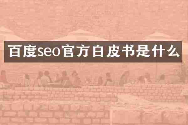 百度seo官方白皮书是什么