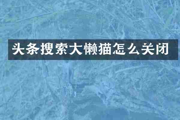 头条搜索大懒猫怎么关闭