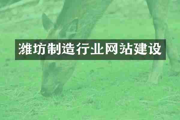 潍坊制造行业网站建设