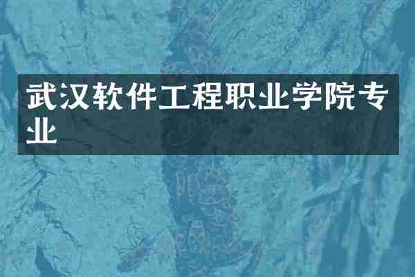 武汉软件工程职业学院专业
