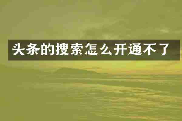 头条的搜索怎么开通不了