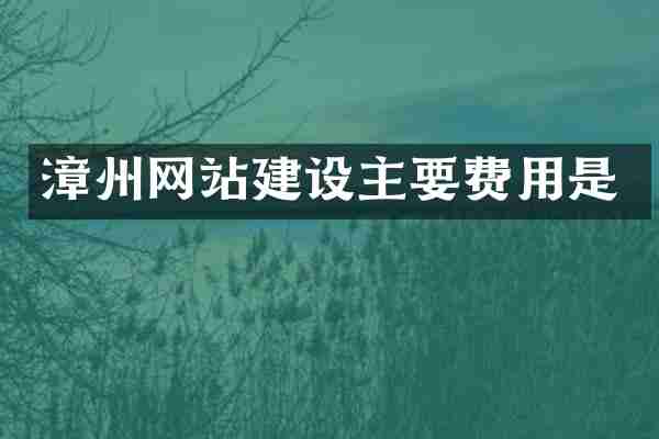 漳州网站建设主要费用是