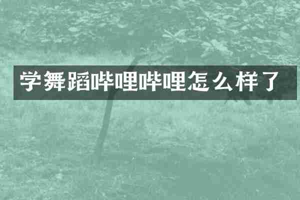 学舞蹈哔哩哔哩怎么样了