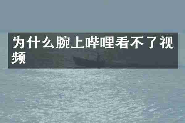 为什么腕上哔哩看不了视频