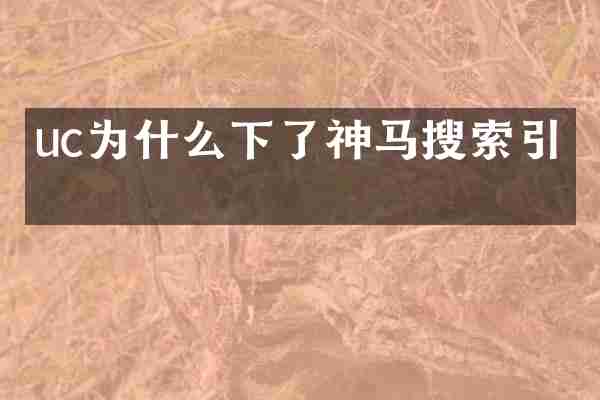 uc为什么下了神马搜索引擎