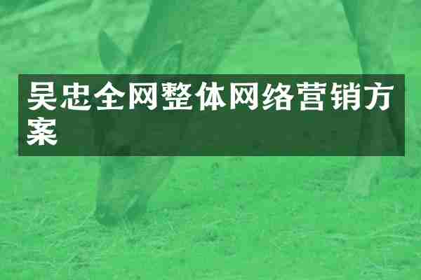 吴忠全网整体网络营销方案