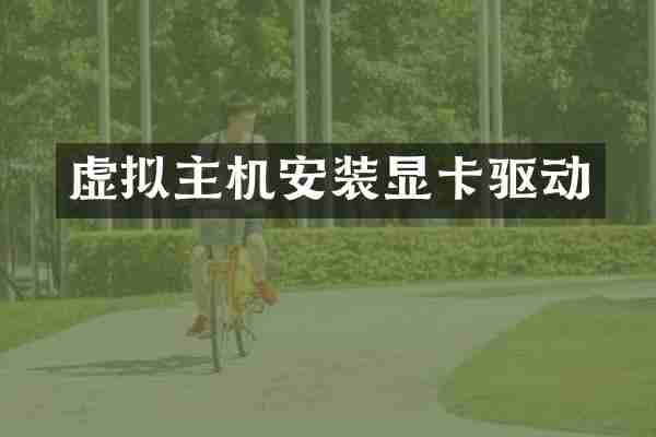 虚拟主机安装显卡驱动
