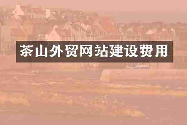 茶山外贸网站建设费用