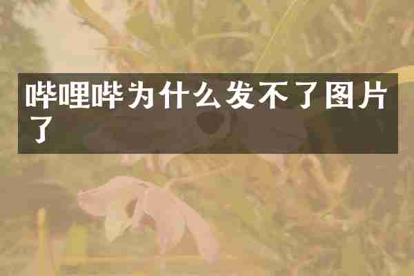 哔哩哔为什么发不了图片了