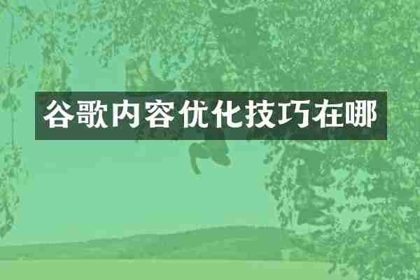 谷歌内容优化技巧在哪