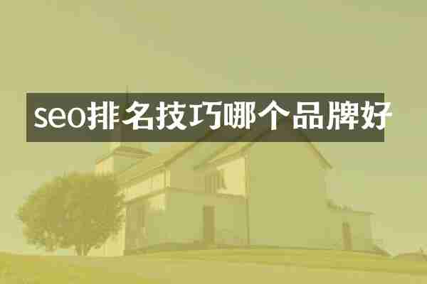 seo排名技巧哪个品牌好