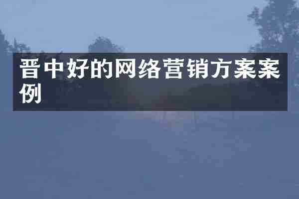 晋中好的网络营销方案案例