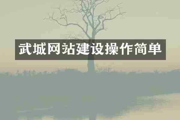 武城网站建设操作简单
