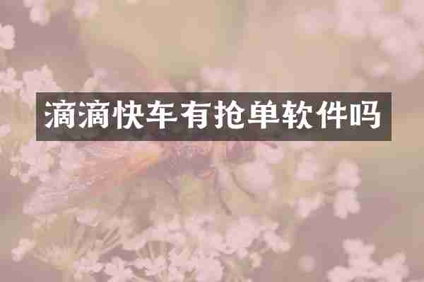 滴滴快车有抢单软件吗