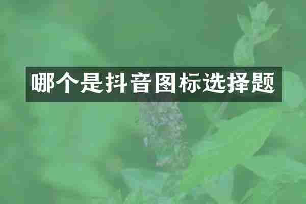 哪个是抖音图标选择题