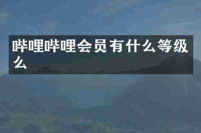 哔哩哔哩会员有什么等级么