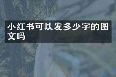 小红书可以发多少字的图文吗