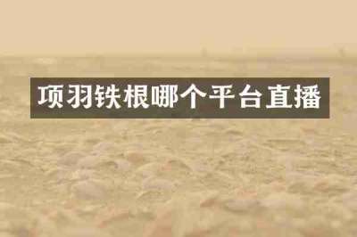 项羽铁根哪个平台直播