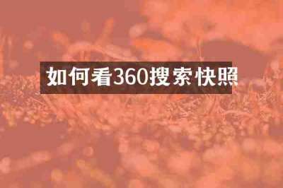 如何看360搜索快照