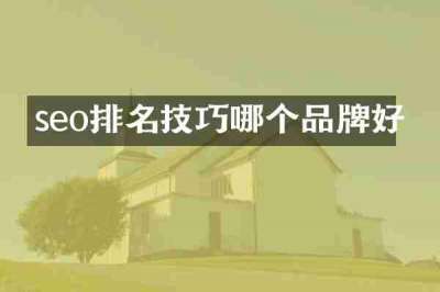 seo排名技巧哪个品牌好