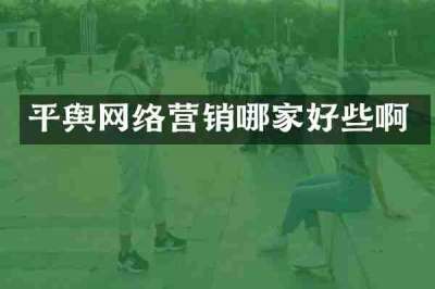 平舆网络营销哪家好些啊