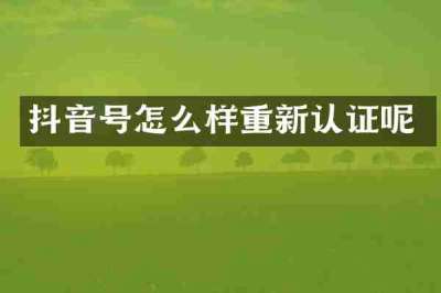 抖音号怎么样重新认证呢