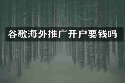 谷歌海外推广开户要钱吗