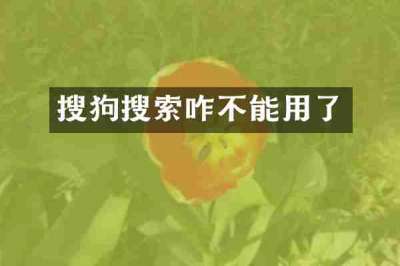 搜狗搜索咋不能用了