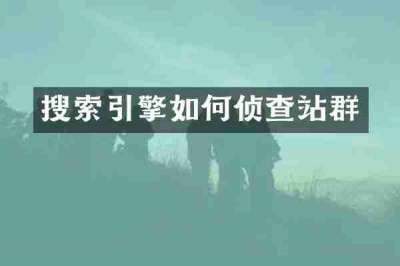 搜索引擎如何侦查站群