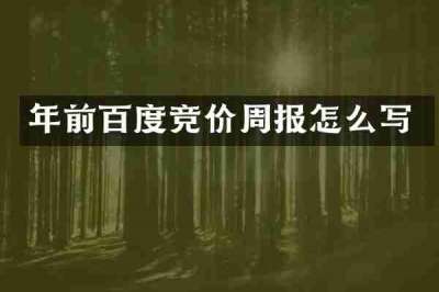 年前百度竞价周报怎么写