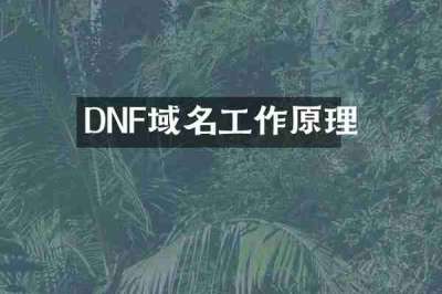 DNF域名工作原理