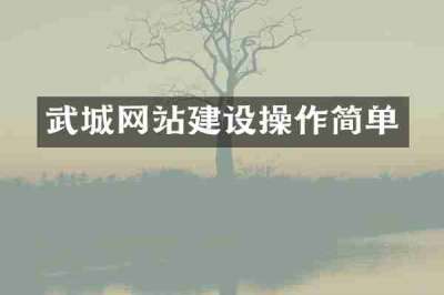武城网站建设操作简单