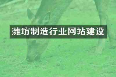 潍坊制造行业网站建设