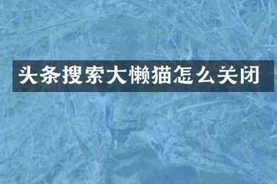 头条搜索大懒猫怎么关闭