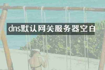 dns默认网关服务器空白