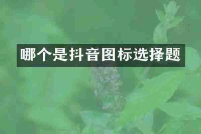 哪个是抖音图标选择题