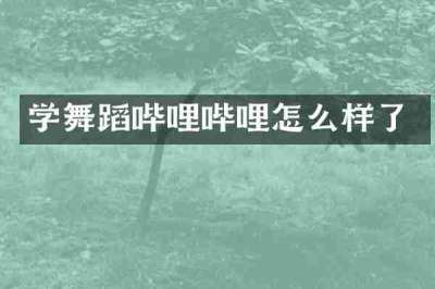 学舞蹈哔哩哔哩怎么样了