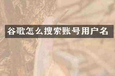 谷歌怎么搜索账号用户名